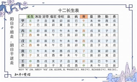 長生十二式|八字十二長生解讀——長生